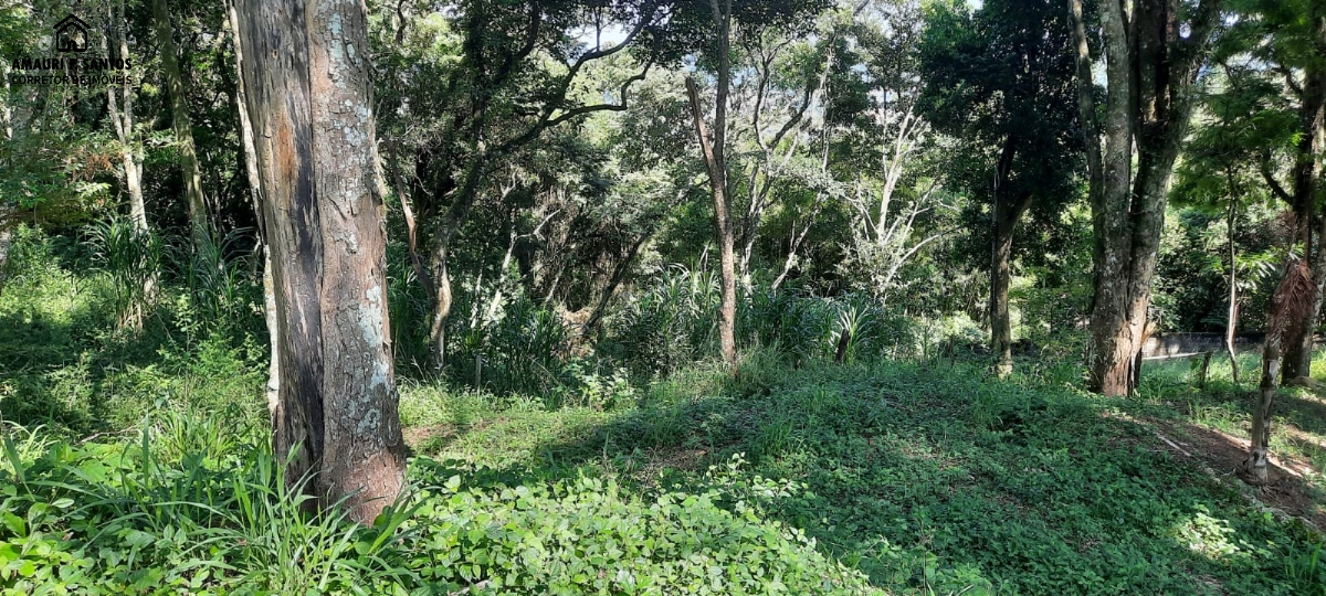 Sítio em , São Roque - Foto 14